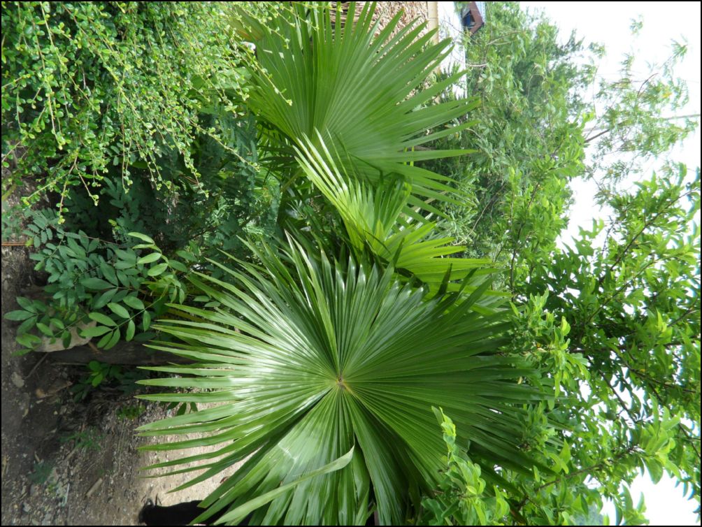 photo10 (2)